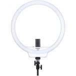 Yongnuo LED Ring Light 攝像燈 YN308